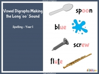 Vowel Digraphs Making the Long  'oo' Sound - Year 1